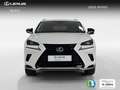 Lexus NX 300 300h Premium 2WD Weiß - thumbnail 6