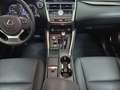Lexus NX 300 300h Premium 2WD Weiß - thumbnail 17