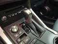 Lexus NX 300 300h Premium 2WD Weiß - thumbnail 32
