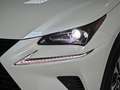 Lexus NX 300 300h Premium 2WD Weiß - thumbnail 34