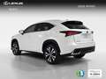Lexus NX 300 300h Premium 2WD Weiß - thumbnail 8