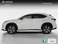 Lexus NX 300 300h Premium 2WD Weiß - thumbnail 7