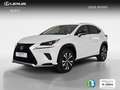 Lexus NX 300 300h Premium 2WD Weiß - thumbnail 5