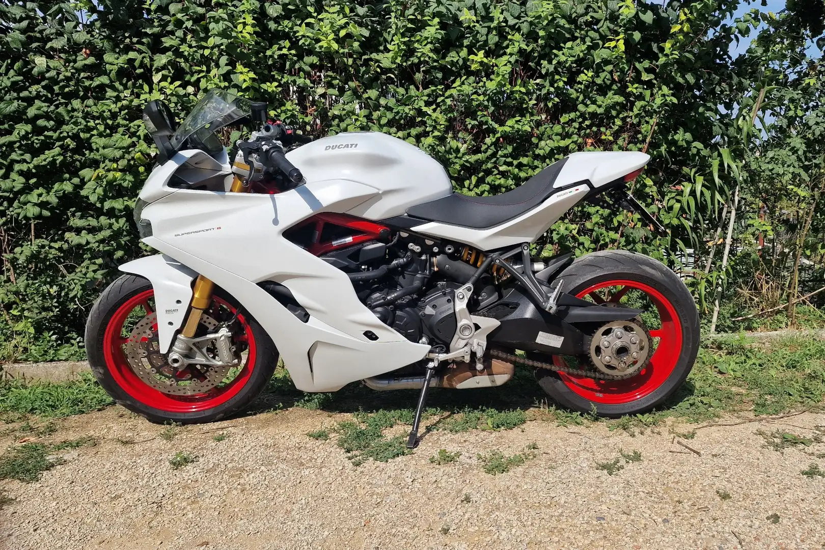 Ducati SuperSport S Bianco - 1
