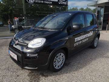 4x2 FireFly Hybrid 70 Pandina