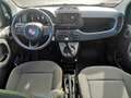 Fiat Panda 4x2 FireFly Hybrid 70 Pandina Schwarz - thumbnail 18