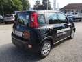 Fiat Panda 4x2 FireFly Hybrid 70 Pandina Schwarz - thumbnail 5