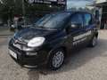 Fiat Panda 4x2 FireFly Hybrid 70 Pandina Schwarz - thumbnail 1
