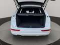 Audi Q5 2.0 TDI 170 CV quattro S tronic 7 vel. DPF Blanco - thumbnail 28