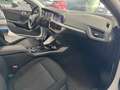 BMW 116 1.5 116CV Advantage IVA ESPOSTA - thumbnail 10