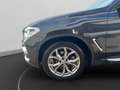 BMW X3 xDrive20d Head-Up Standhzg. Lenkradhzg. Sitzhzg. A Gris - thumbnail 14