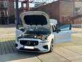 Volvo S60 T4 RDesign Polestar 360° BLIS LED 19Zoll Blanc - thumbnail 6