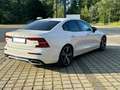 Volvo S60 T4 RDesign Polestar 360° BLIS LED 19Zoll Blanc - thumbnail 4