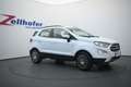 Ford EcoSport 1,0 EcoBoost Titanium Weiß - thumbnail 2