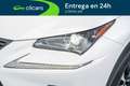 Lexus NX 300h Premium 2WD Blanco - thumbnail 10