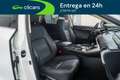 Lexus NX 300h Premium 2WD Blanco - thumbnail 16
