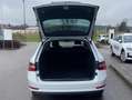 Skoda Superb Combi 2.0 TDI DSG AHK+NAVI-COLUMBUS+LED+S Weiß - thumbnail 11