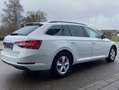 Skoda Superb Combi 2.0 TDI DSG AHK+NAVI-COLUMBUS+LED+S Weiß - thumbnail 5