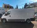 Fiat Ducato Grossr.-Kasten 35 140 L4H2 RS: 4035 mm Blanco - thumbnail 3