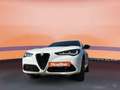 Alfa Romeo Stelvio 2.2 16V AT8 Veloce #ACC#LED#KAMERA Weiß - thumbnail 11