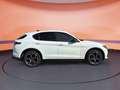 Alfa Romeo Stelvio 2.2 16V AT8 Veloce #ACC#LED#KAMERA Weiß - thumbnail 5