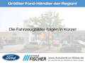 Ford Puma Titanium EcoBoost MHEV I AHK Grijs - thumbnail 1