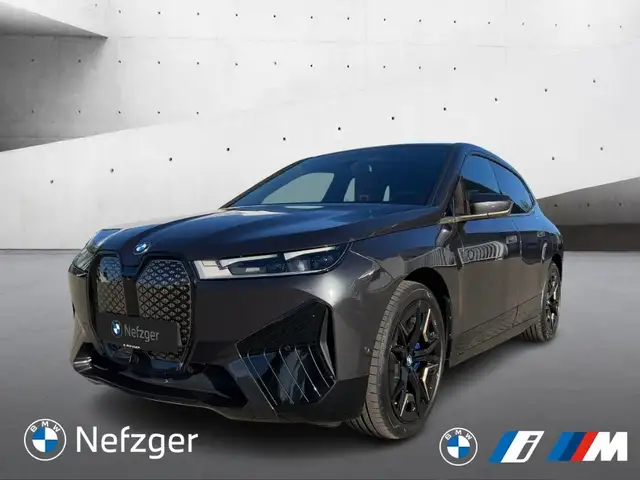 BMW iX xDrive40 Sportpaket Panorama Soft-Close H&K