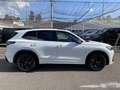 Volkswagen Tiguan III 1.5 ETSI 150 R-LINE DSG7 Weiß - thumbnail 3