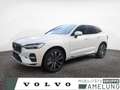 Volvo XC60 T8 AWD Ultimate Bright Plug-In ACC PANO Wit - thumbnail 1