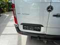 Mercedes-Benz Sprinter 317 CDI Maxi Mixto nur Gewerbe+Export Silver - thumbnail 12