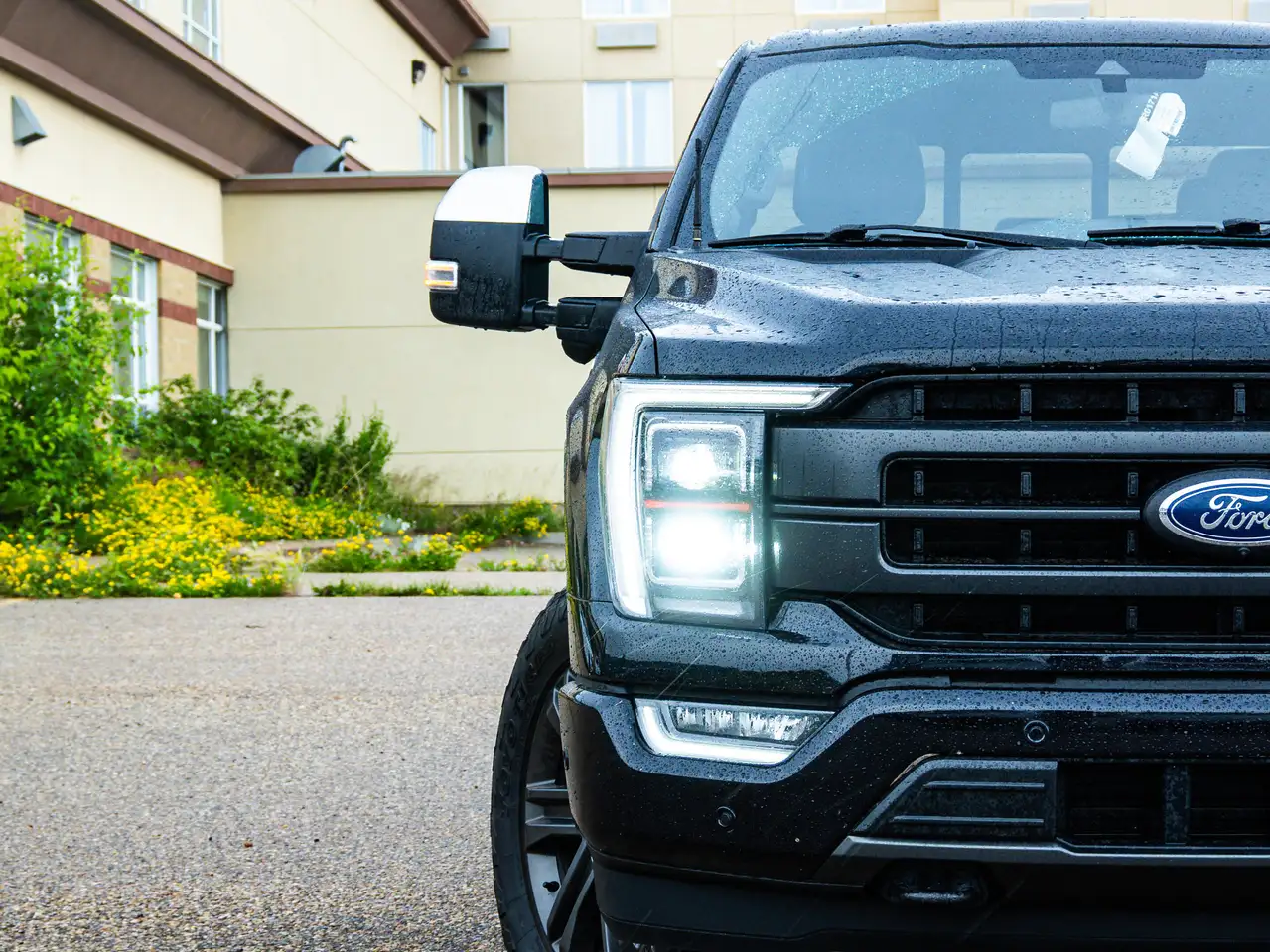 Ford F 150 photo Ford F 150