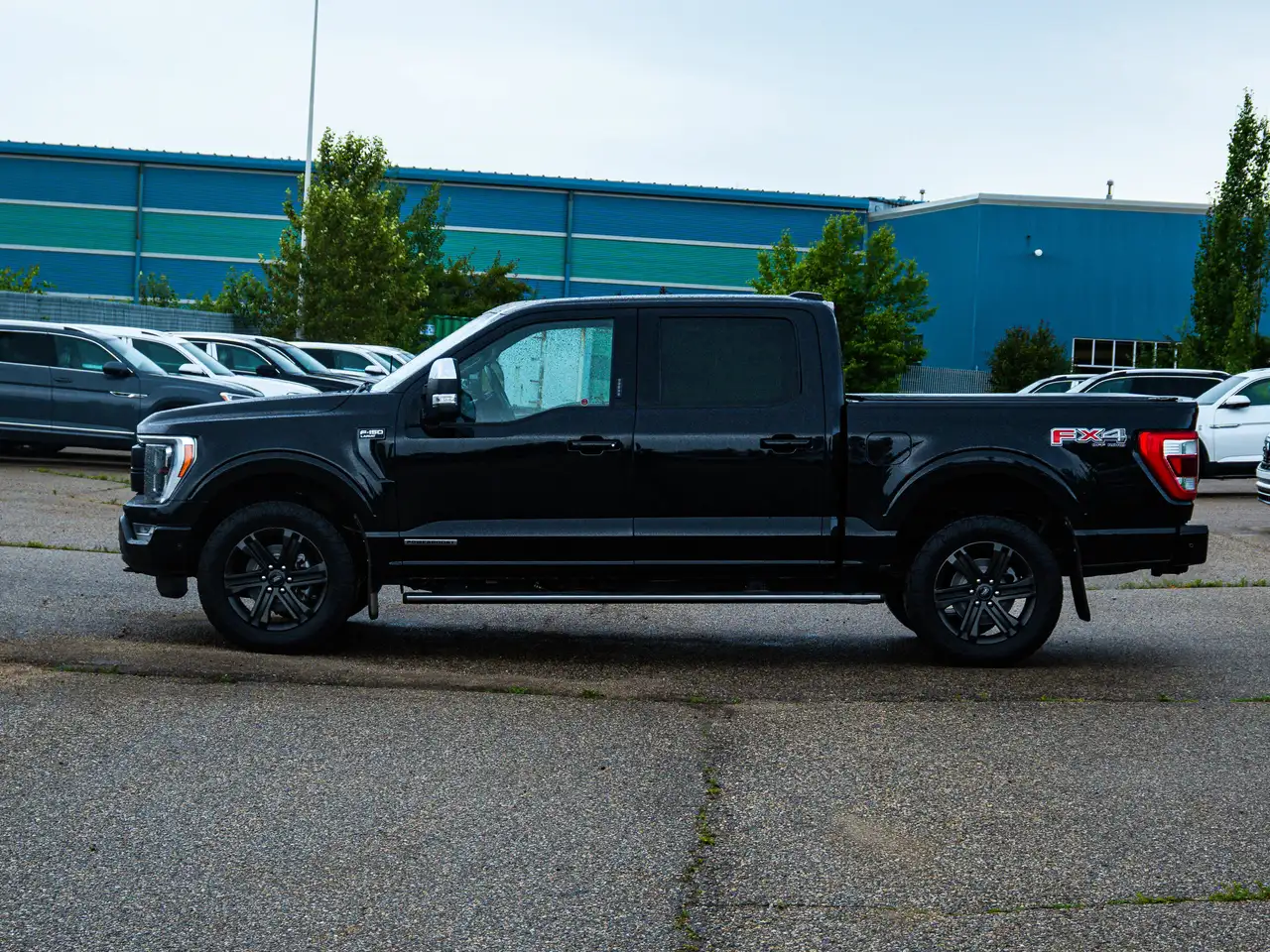Ford F 150 photo Ford F 150