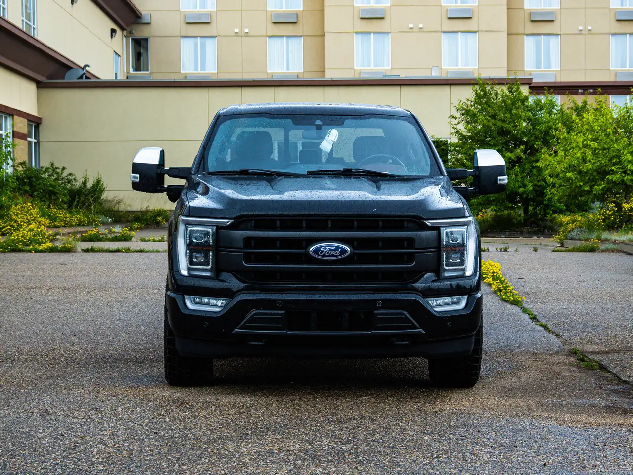 Ford F 150 photo Ford F 150