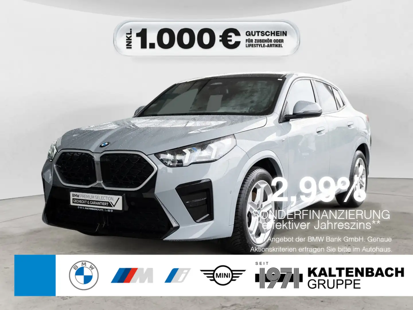 BMW X2 sDrive 18d M-Sport PANO AHK LED NAVI H/K Gris - 1