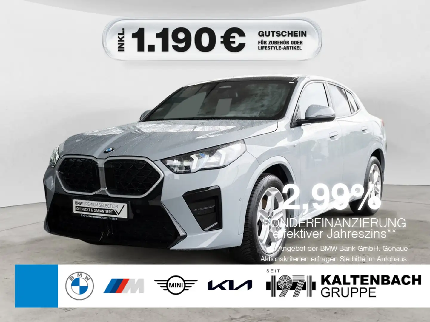 BMW X2 sDrive 18d M-Sport PANO AHK LED NAVI H/K Gris - 1