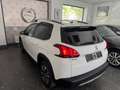 Peugeot 2008 CROSSWAY NAVI CAM+PDC SZH T-LEDER Blanco - thumbnail 5