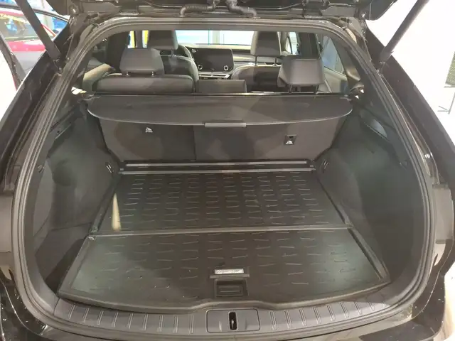 Lexus RX 450h + E-four F-Sport Design BLACK EDITION Ansicht 21
