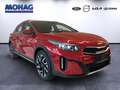 Kia XCeed *Vision*CarPlay*RFK*Sitzheizung*Tempomat* Rouge - thumbnail 2