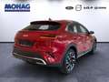 Kia XCeed *Vision*CarPlay*RFK*Sitzheizung*Tempomat* Rouge - thumbnail 3