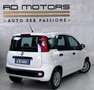 Fiat Panda 5 Posti Euro 6 - thumbnail 4