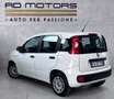 Fiat Panda 5 Posti Euro 6 - thumbnail 6