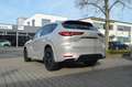 Mazda CX-60 Diesel 254PS AWD  Homura Plus  Modell 2025 Bej - thumbnail 6