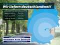 Nissan Townstar Kombi DIG-T 130 L2 Tekna 7-Sitzer/16'' Gris - thumbnail 30