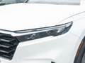 Honda CR-V 2.0 e:HEV Elegance SHZ NAVI ACC LED PANO Weiß - thumbnail 26