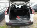 Honda CR-V 2.0 e:HEV Elegance SHZ NAVI ACC LED PANO Weiß - thumbnail 6