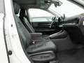 Honda CR-V 2.0 e:HEV Elegance SHZ NAVI ACC LED PANO Weiß - thumbnail 7