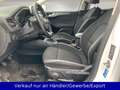 Ford Focus 1.0 EB Cool&Connect S/S LED Klima SHZ PDC Blanc - thumbnail 9