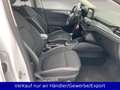Ford Focus 1.0 EB Cool&Connect S/S LED Klima SHZ PDC Blanc - thumbnail 13