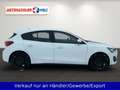 Ford Focus 1.0 EB Cool&Connect S/S LED Klima SHZ PDC Blanc - thumbnail 4