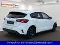 Ford Focus 1.0 EB Cool&Connect S/S LED Klima SHZ PDC Blanc - thumbnail 5